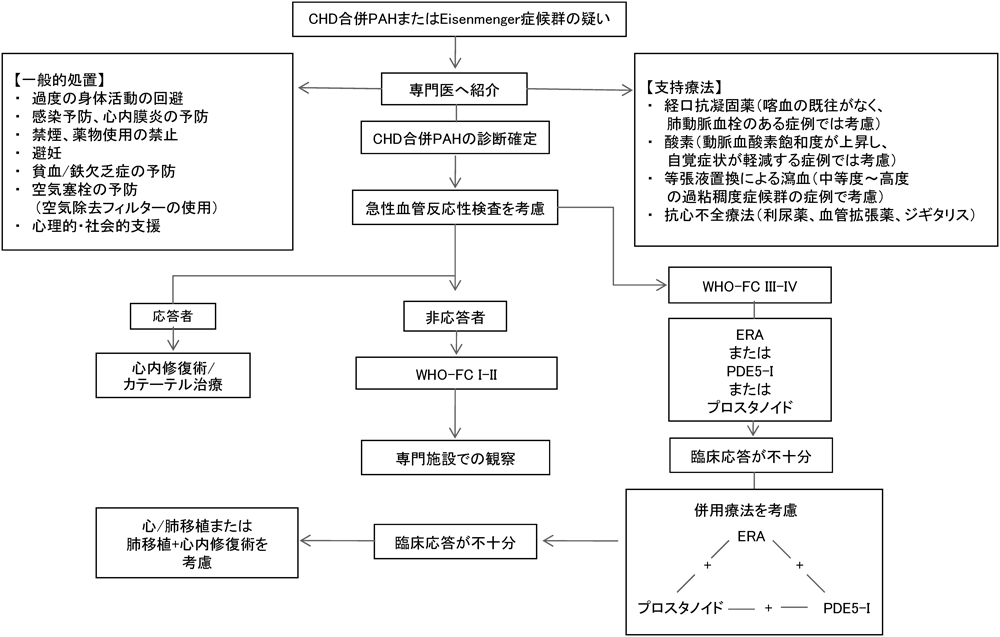 日本小児循環器学会小児心不全薬物治療ガイドライン（平成27年改訂版）