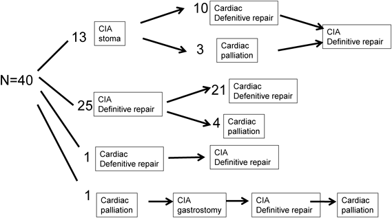 Pediatric Cardiology and Cardiac Surgery 37(2): 117-123 (2021)