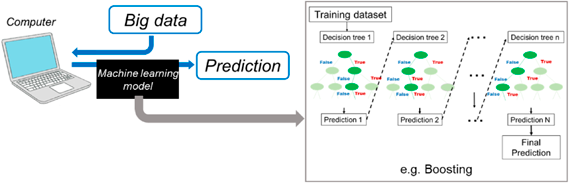 Pediatric Cardiology and Cardiac Surgery 41(3): 113-122 (2025)